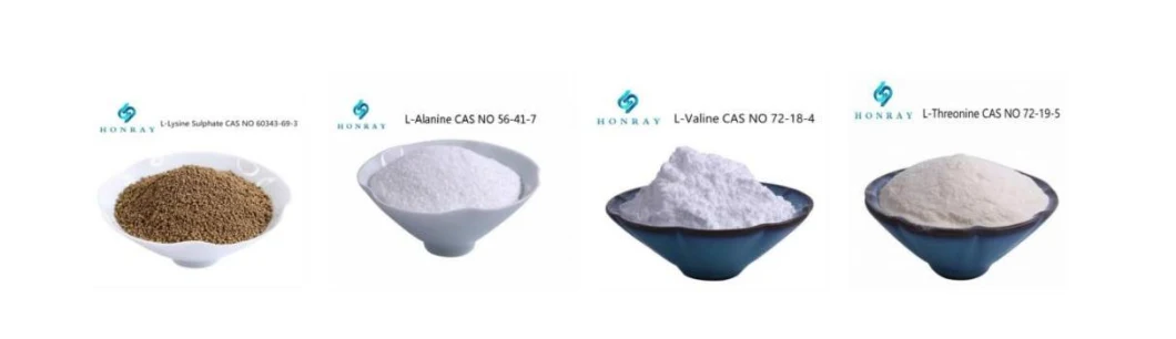 Pharmaceutical and Food Grade 99% Purity Powder Amino Acid CAS 52-90-4 L-Cysteine