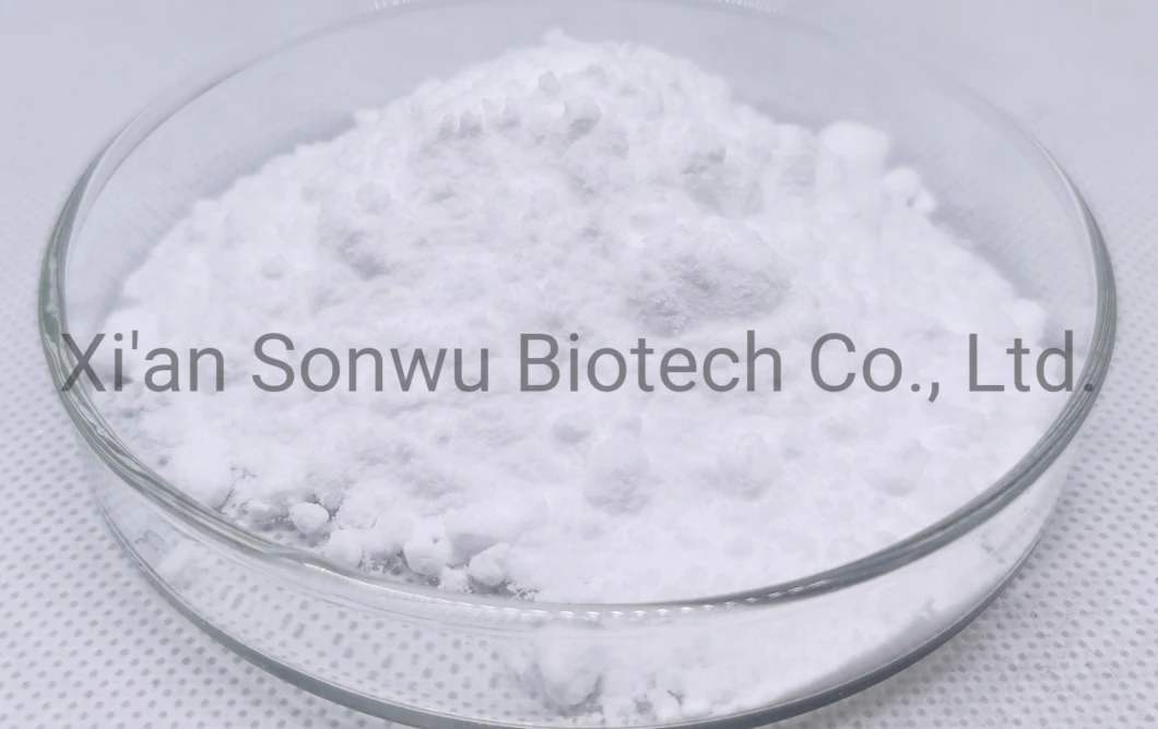 Hot-Selling CAS 98-79-3 of Pyroglutamic Acid Powder