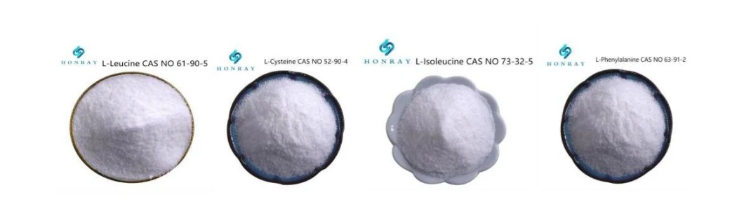 USP/Ep/Aji Grade CAS 52-90-4 Amino Acids L-Cysteine